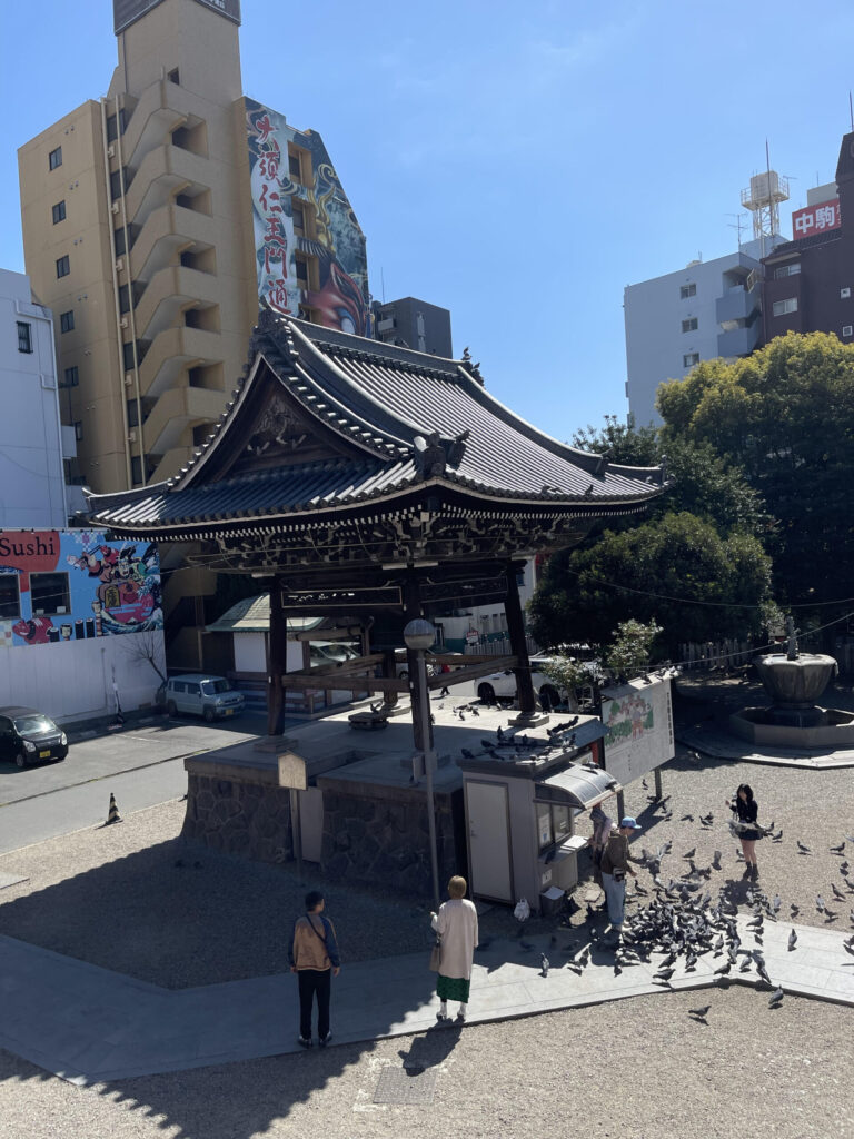 鐘楼堂と鳩
